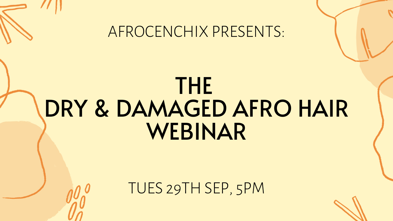 Afrocenchix Presents: The Dry & Damaged Hair Webinar