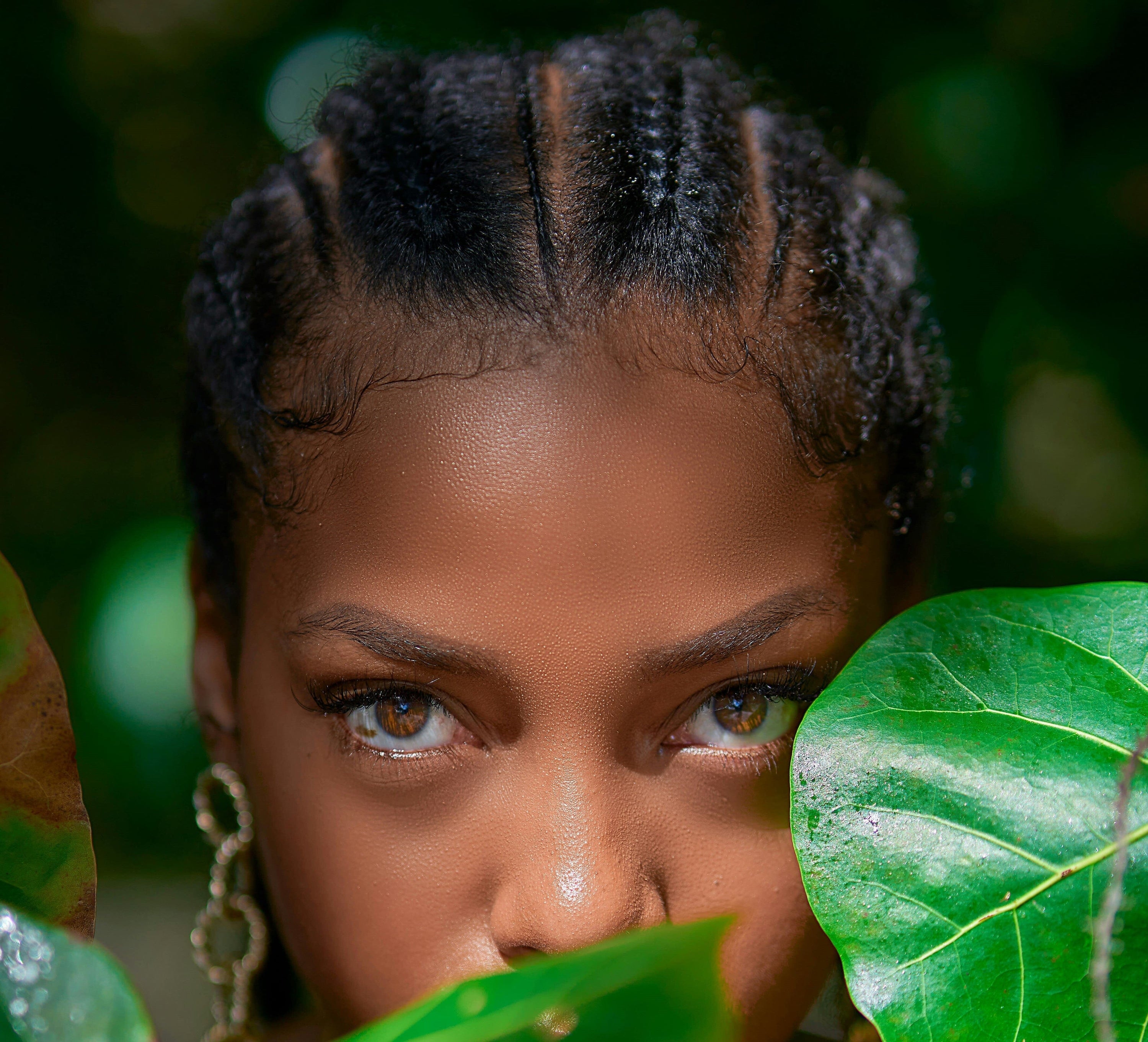 Plant Power: The Science Behind Natural Ingredients for Afro