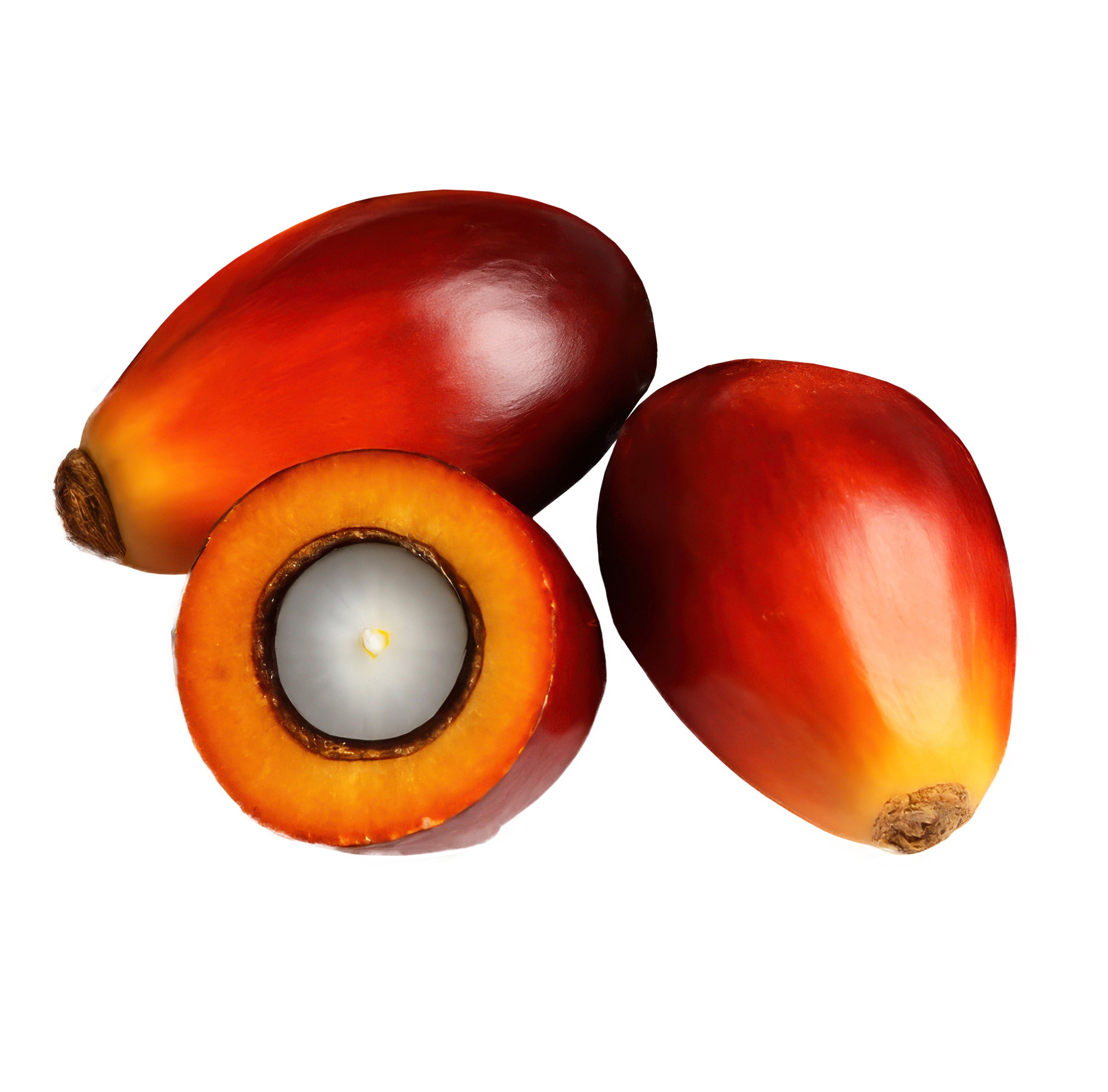 Afrocenchix Fortify Butter-to-Oil Batana Treatment Balm