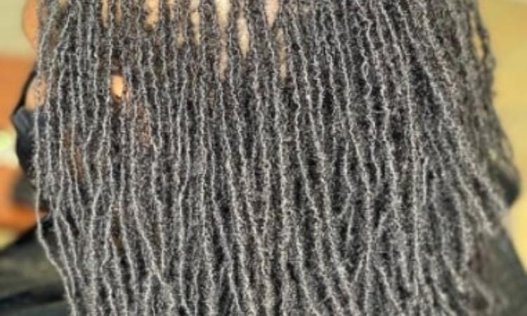 Afrocenchix 7 Methods to Start Locs You Should Know About: close up of mirco locs ,Brotherlocks, Sisterlocks from IG @thekrownkeeper