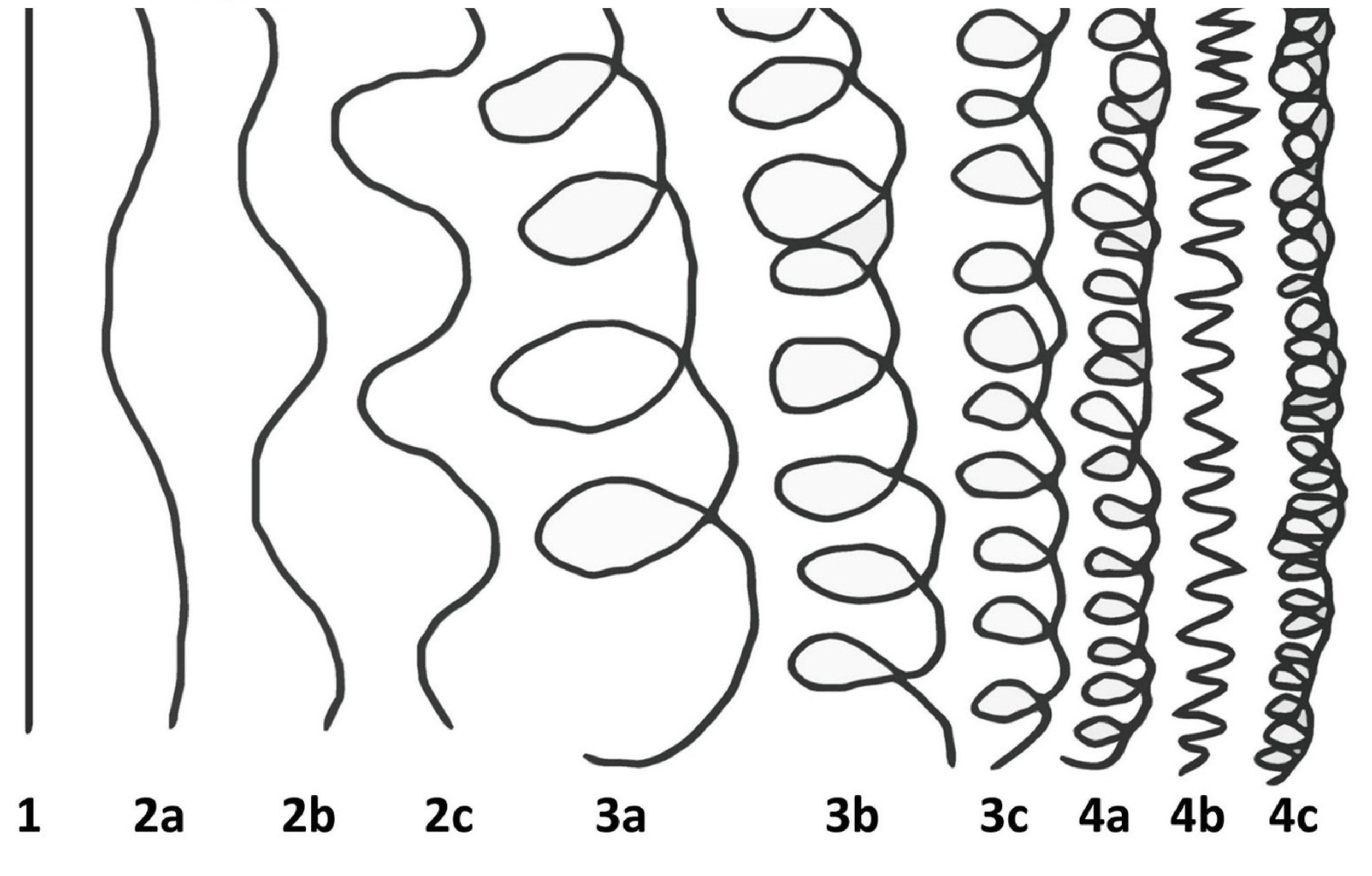 Why Hair Typing is Unscientific
