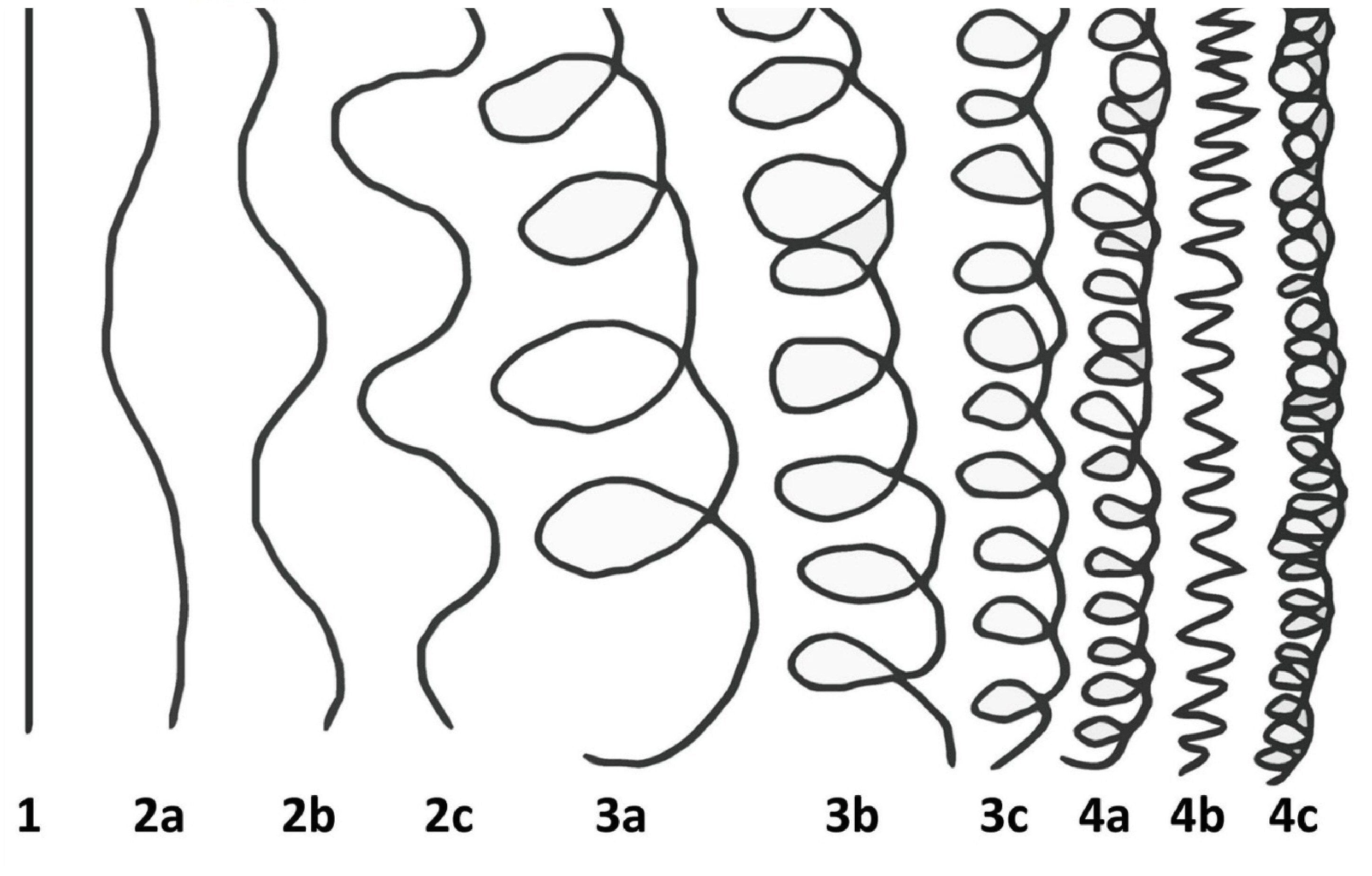 Why Hair Typing is Unscientific