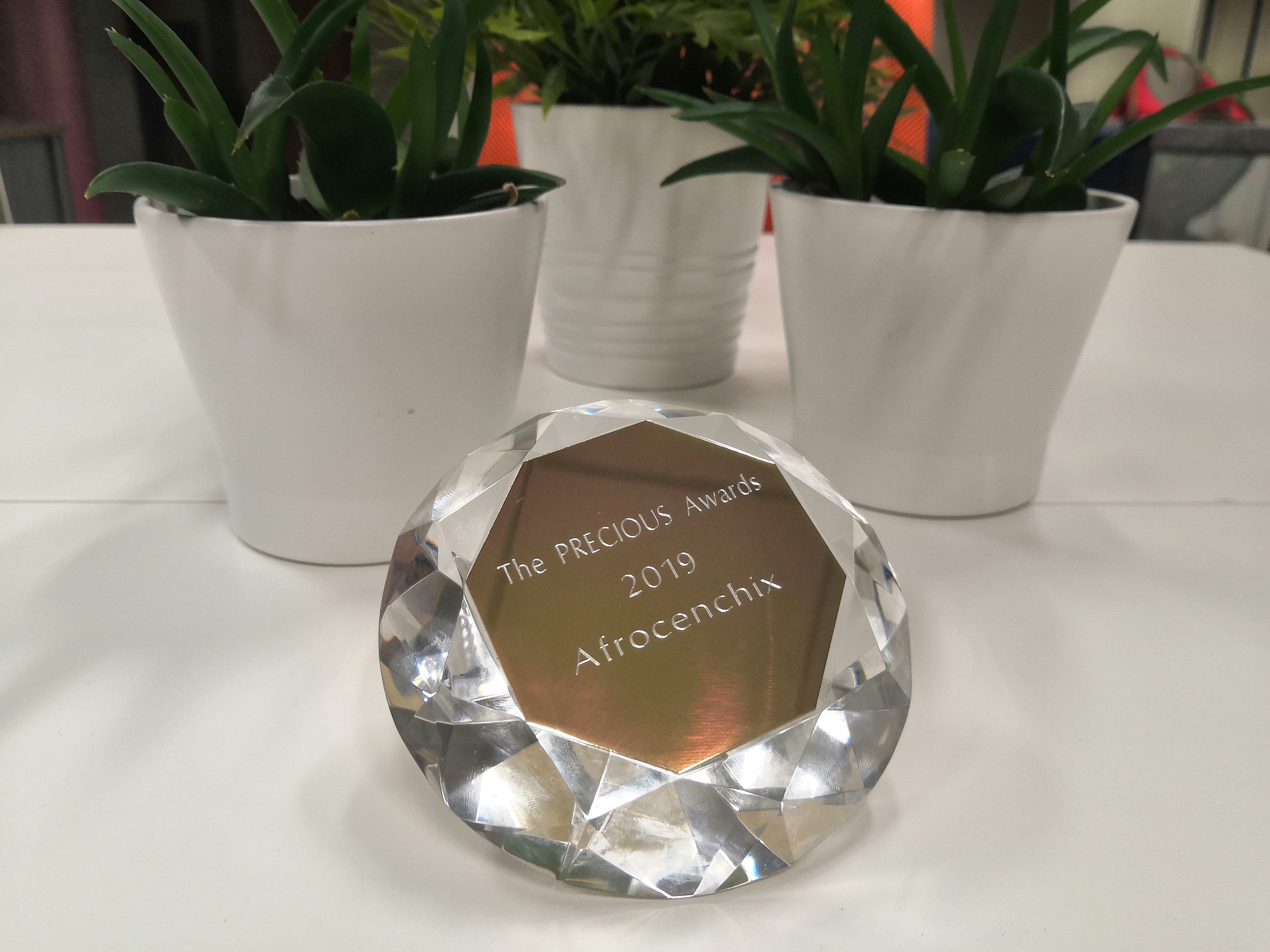 Afrocenchix take home ‘SME Business of the Year’ and ‘Entrepreneur of the Year’ in 2019 Precious Awards!