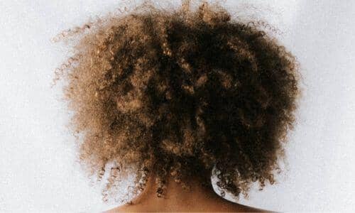 Back shot of light brown afro hair