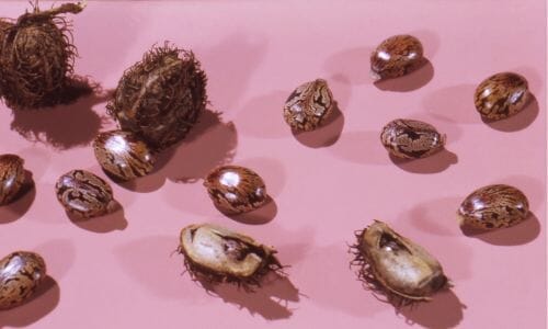 4 Benefits Of Castor Oil For Hair