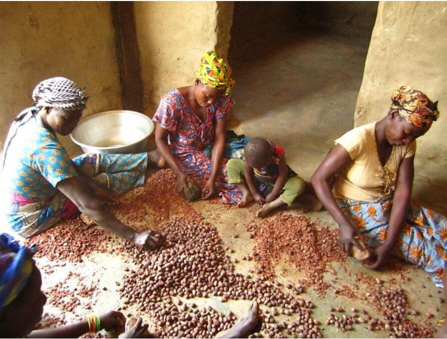 Why Afrocenchix Supports Fair Trade: Women sat organising shea nuts to create shea butter