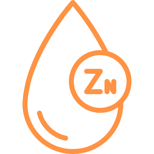 strengthening-biotin-oil-with-rosemary-mint-coconut-nourish-your