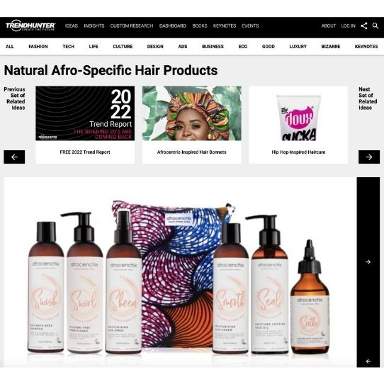 Trend Hunter article showcasing Natural afro-specific hair products featuring Afrocenchix