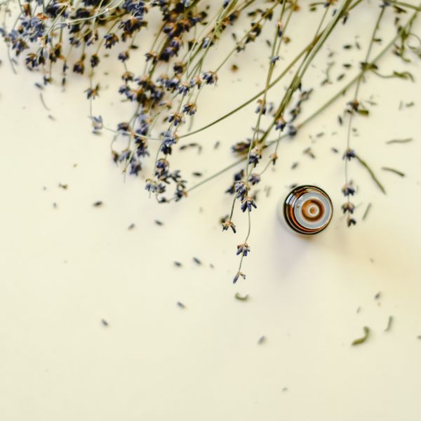 Lavender Oil